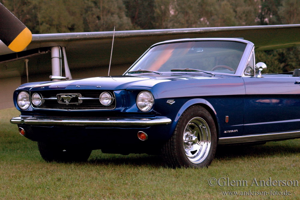 Mustang Pur!