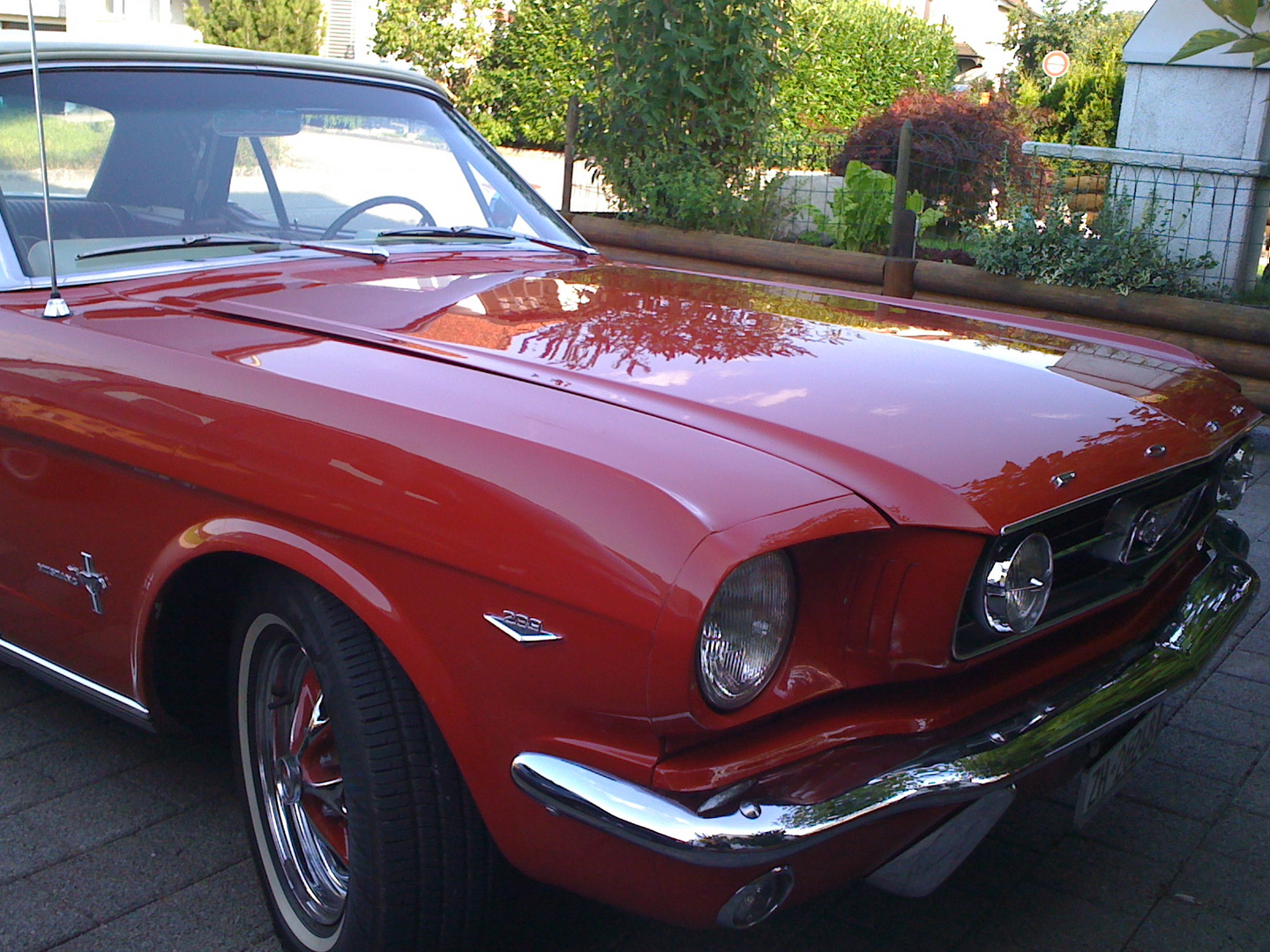 MUSTang red