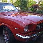 MUSTang red