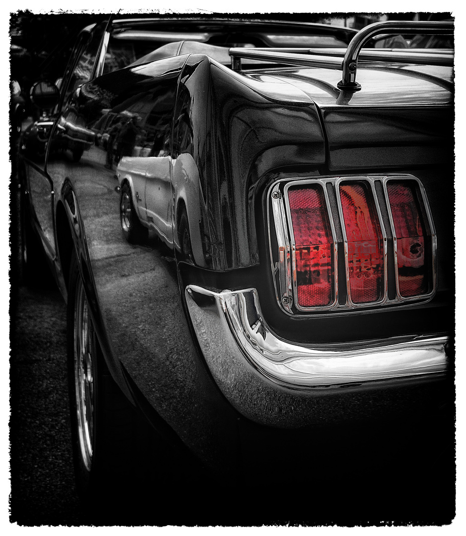 MUSTANG Reflection