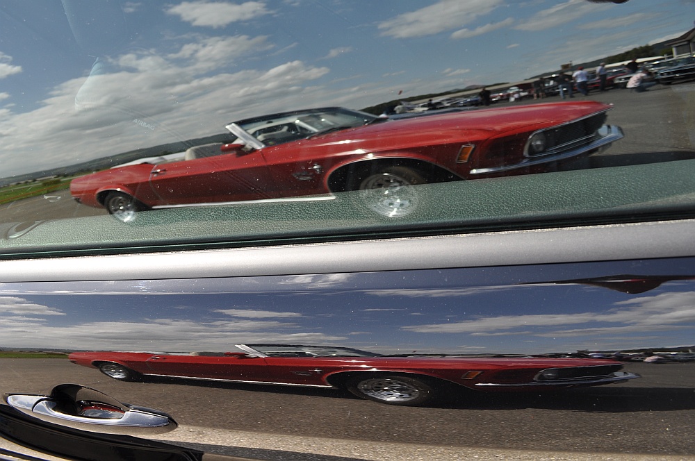 Mustang Reflection