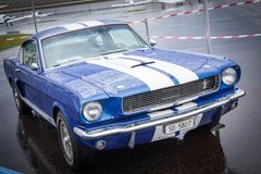 Mustang Shelby