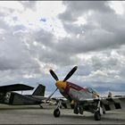 Mustang und Skyservant