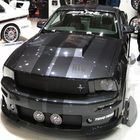 Mustang update