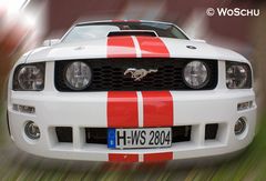 Mustang - V8 - 320 PS