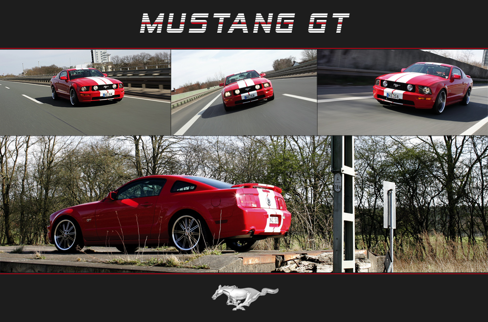 Mustang V8