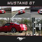 Mustang V8