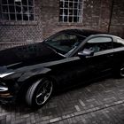 Mustang V8 Bullet-Edition -----Blubber----