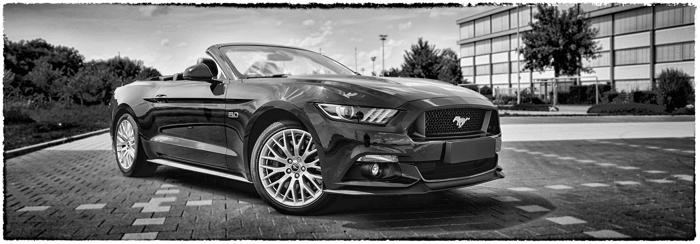 MUSTANG V8 Convertible