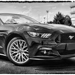 MUSTANG V8 Convertible