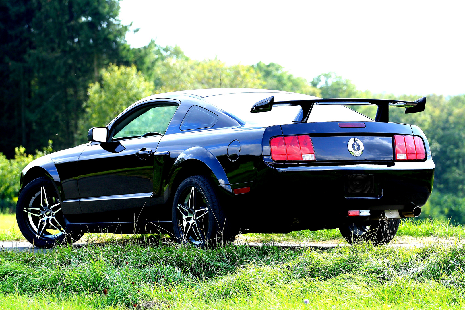 Mustang v.h.