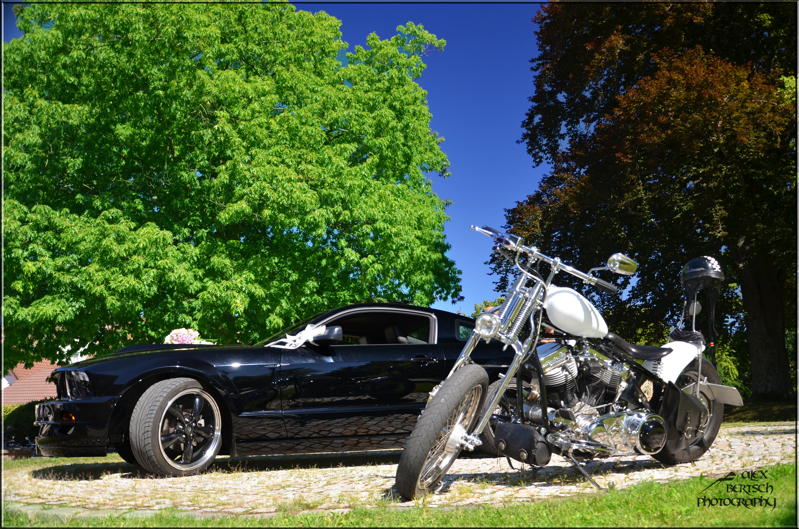 Mustang vs. Harley Davidson