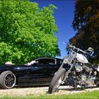 Mustang vs. Harley Davidson