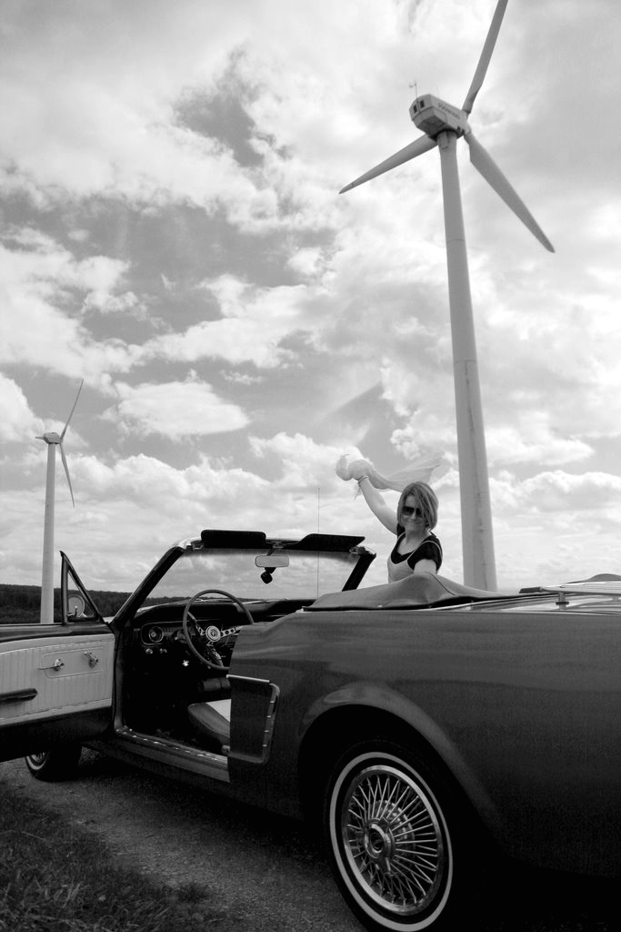 mustang, wind & das himmlische kind