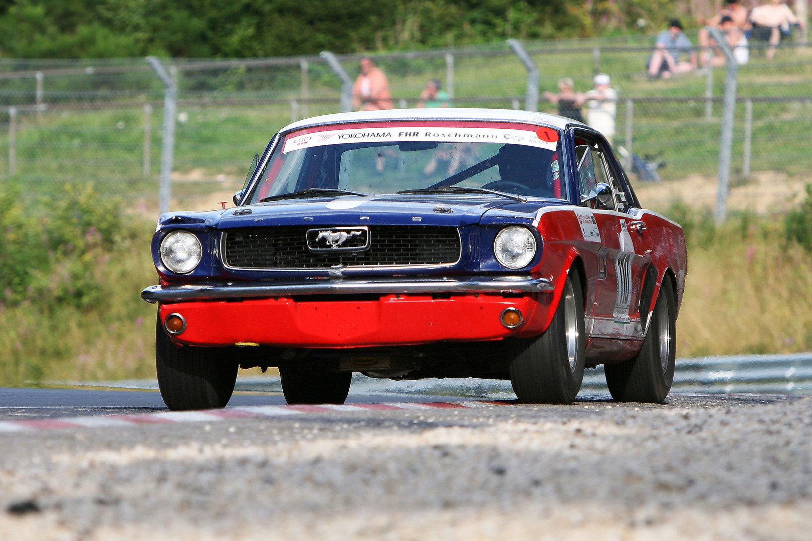 Mustang Wochen #3