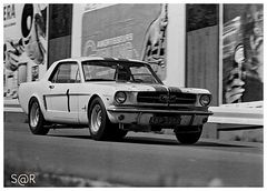 Mustang Wochen