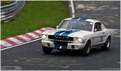 Mustang-Wochen