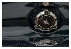 MustangDetail