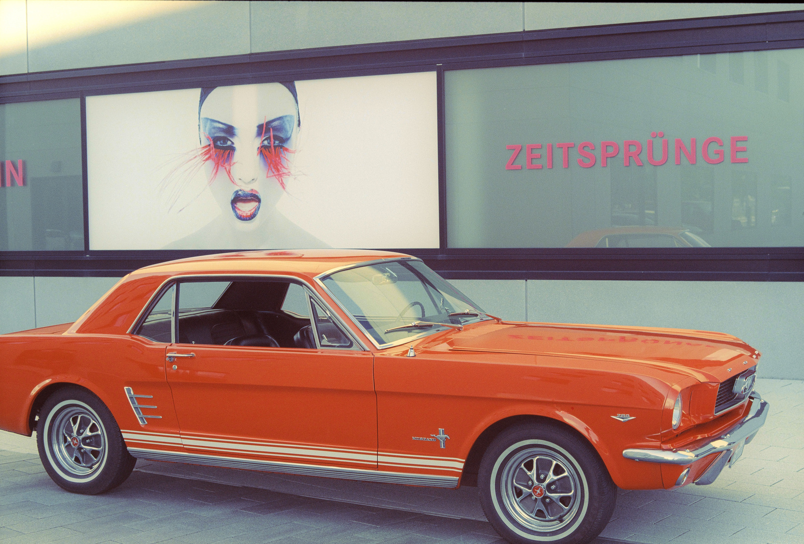 Mustang@Leica