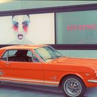 Mustang@Leica