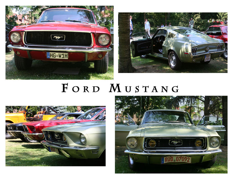 Mustangs