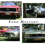 Mustangs