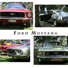 Mustangs