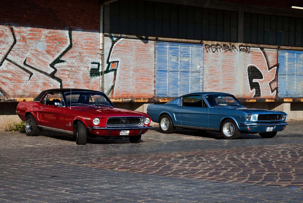 Mustangs