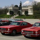 Mustangs in München