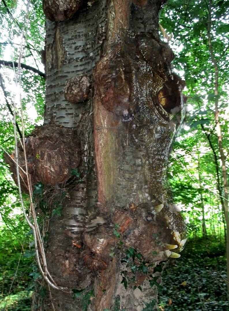 Mutant Tree