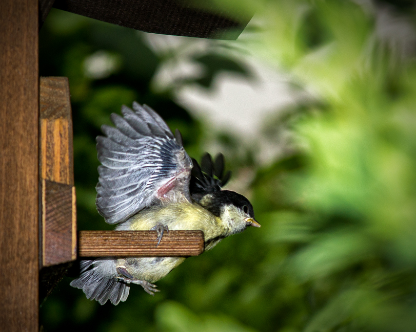 Mutig und entschlossen