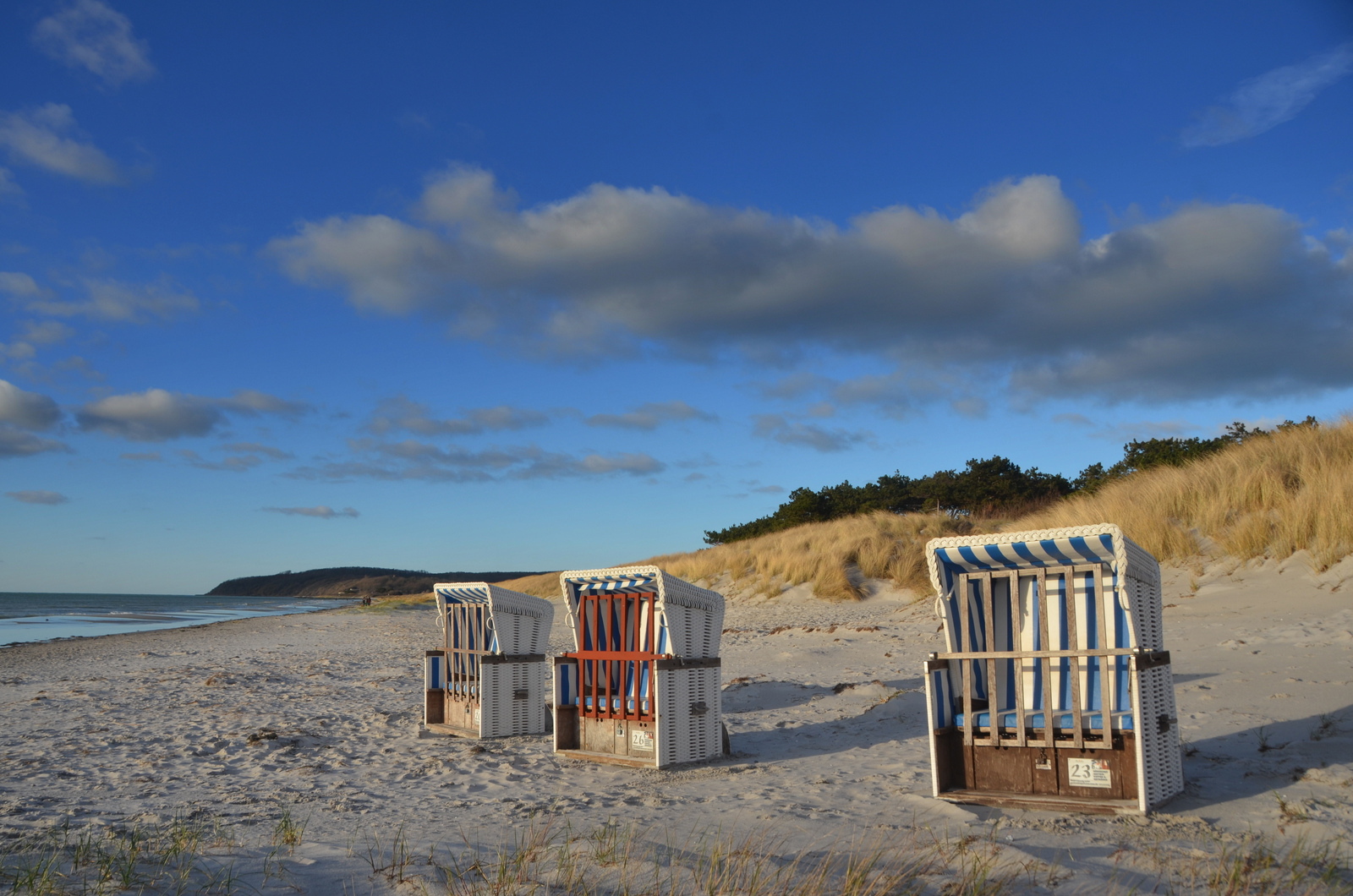 Mutige Strandkörbe 