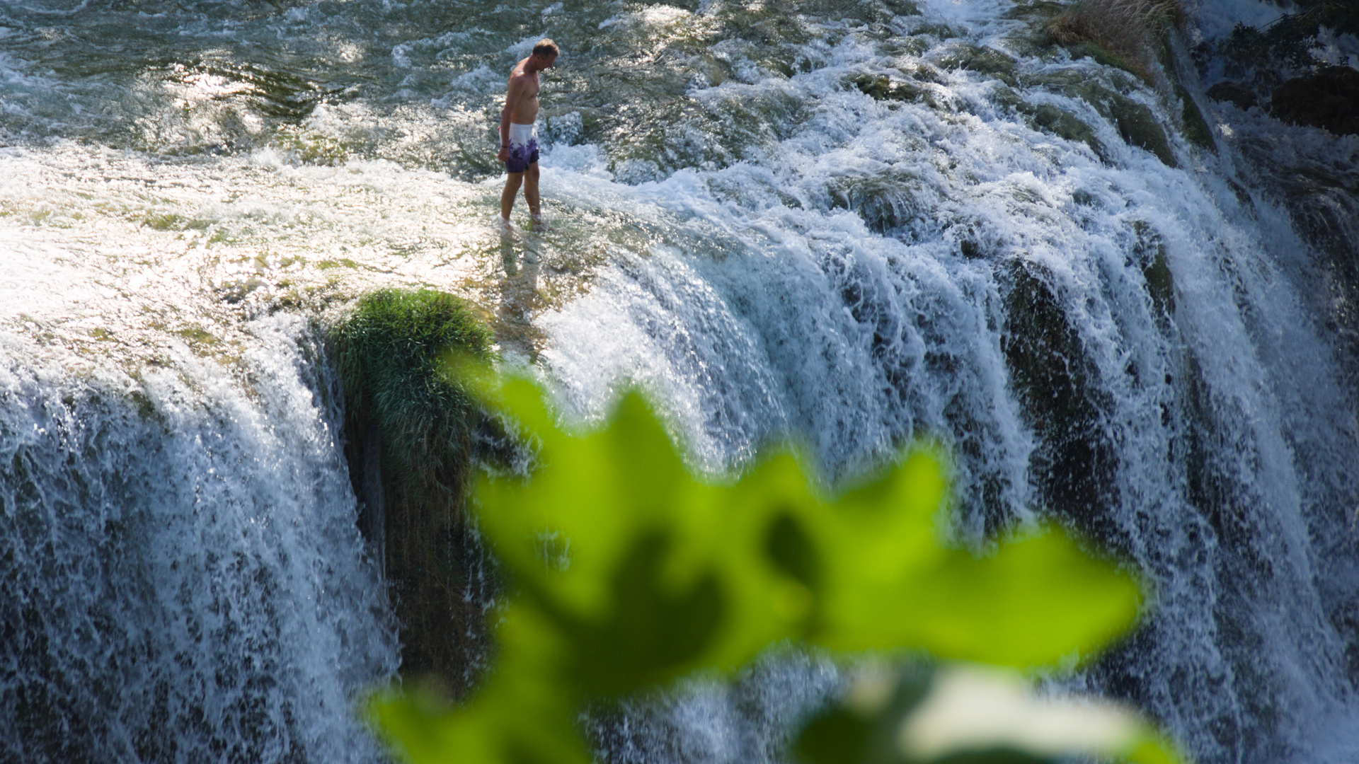 Mutiger Wasserspringer