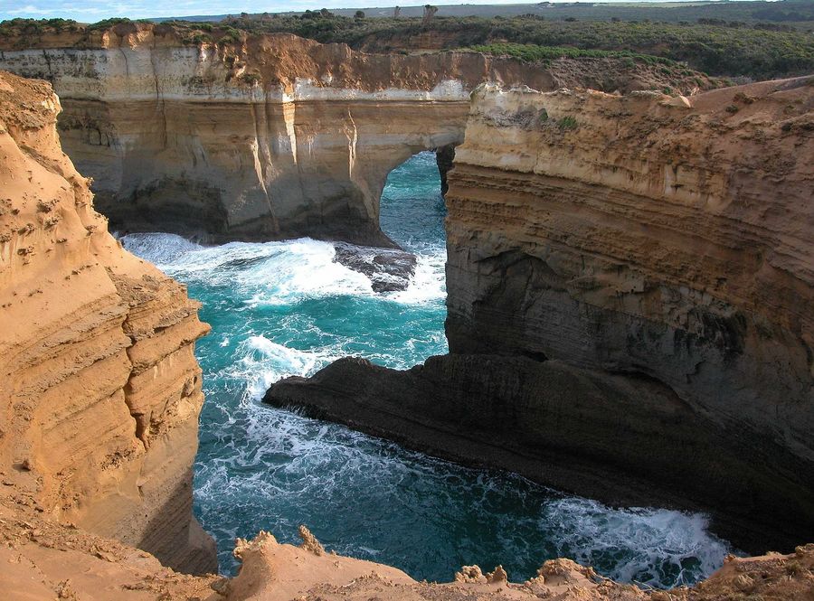 Mutten Bird Island