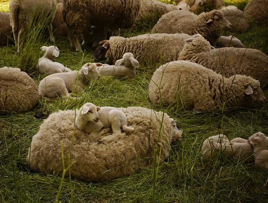 Mutter ist die Beste !