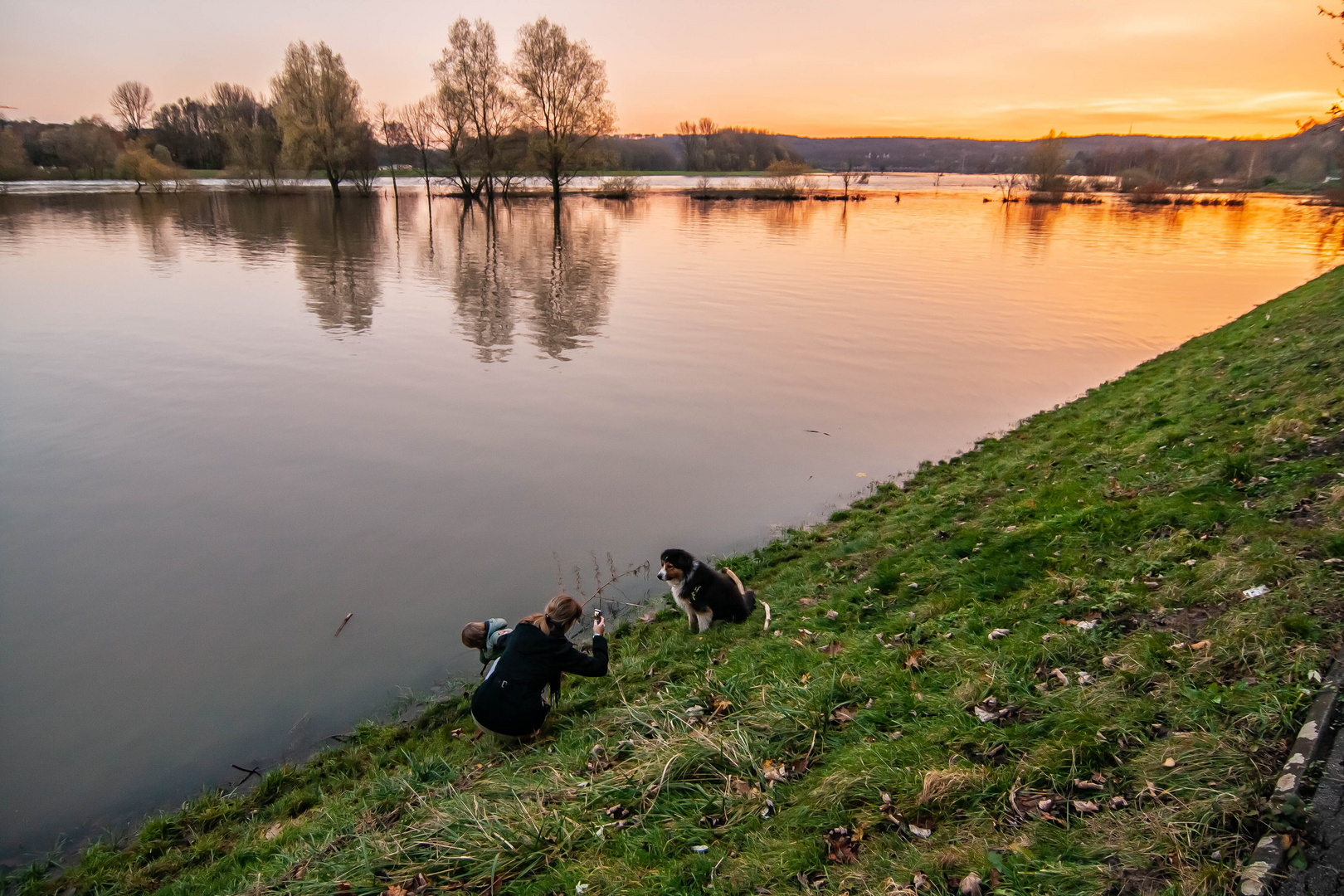 Mutter, Kind, Hund, Handy, Hang und Hochwasser