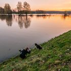 Mutter, Kind, Hund, Handy, Hang und Hochwasser