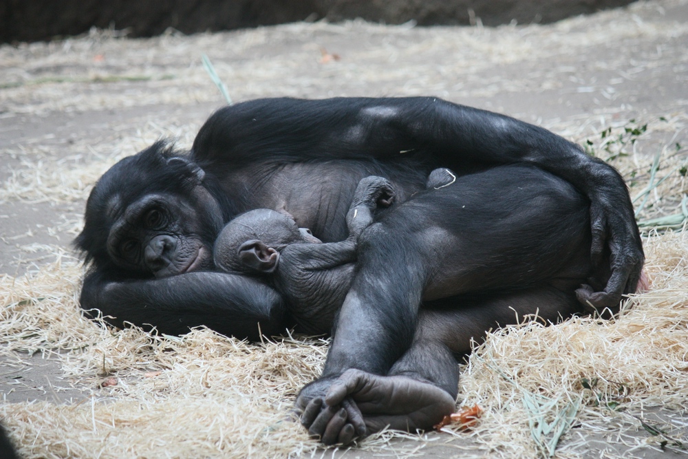 Mutter-Kind-Kuscheln