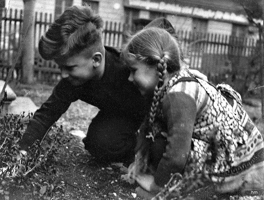 Mutter Mentzschels Kinder im Beet 1947