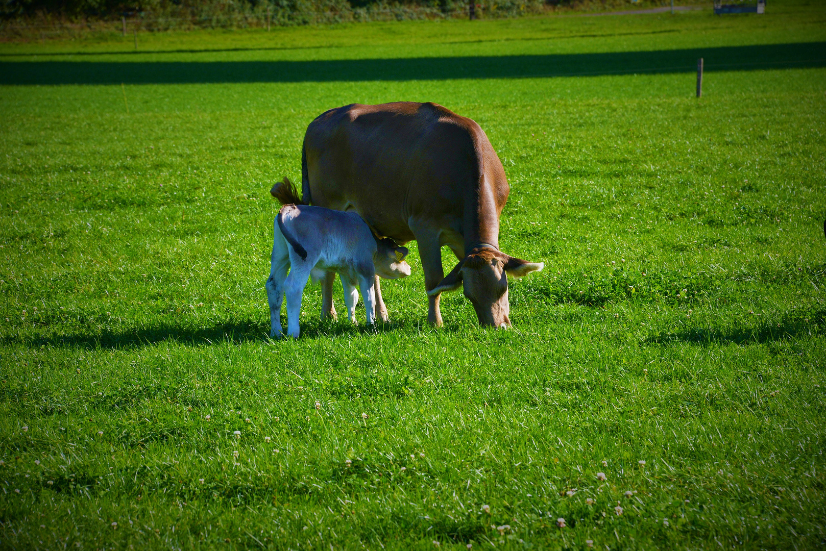 Mutter mit dem Jungen