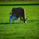 Mutter mit dem Jungen