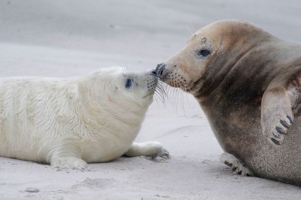 Mutter mit ihrem Kind