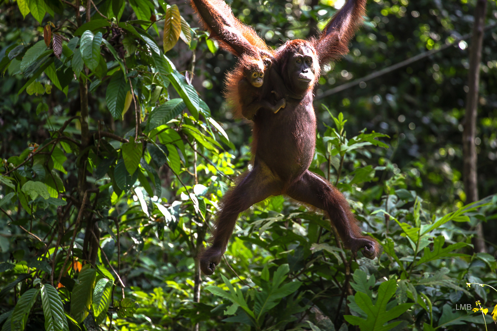 Mutter mit Kind auf Borneo