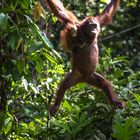 Mutter mit Kind auf Borneo