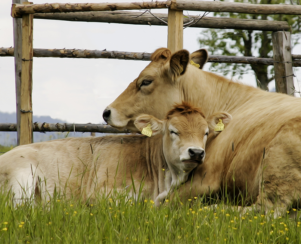 Mutter mit Kind beim Mittagsschlaf