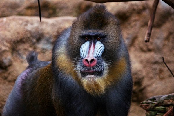 Mutter Natur zeigt was sie kann....