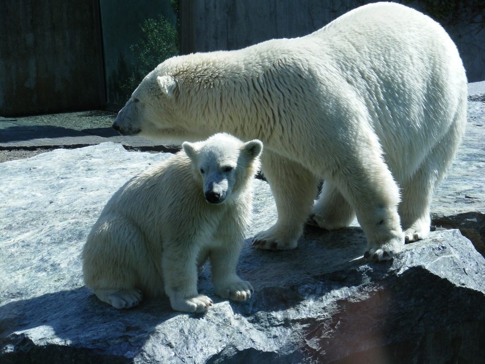 Mutter & Sohn