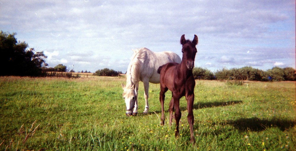 Mutter & Sohn I