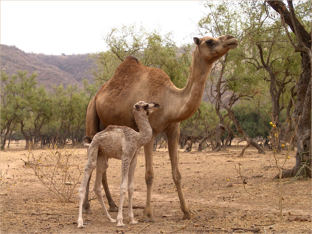 "Mutter und Baby"