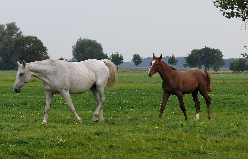 Mutter und Kind